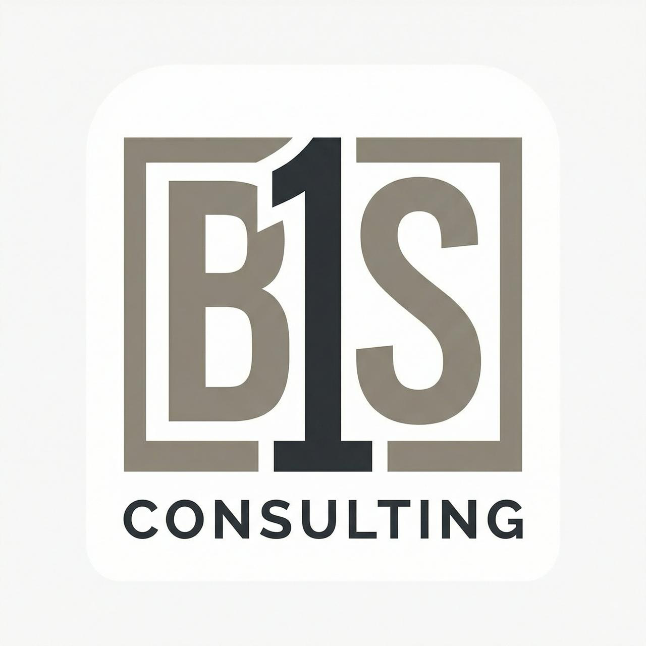 B1S Consulting